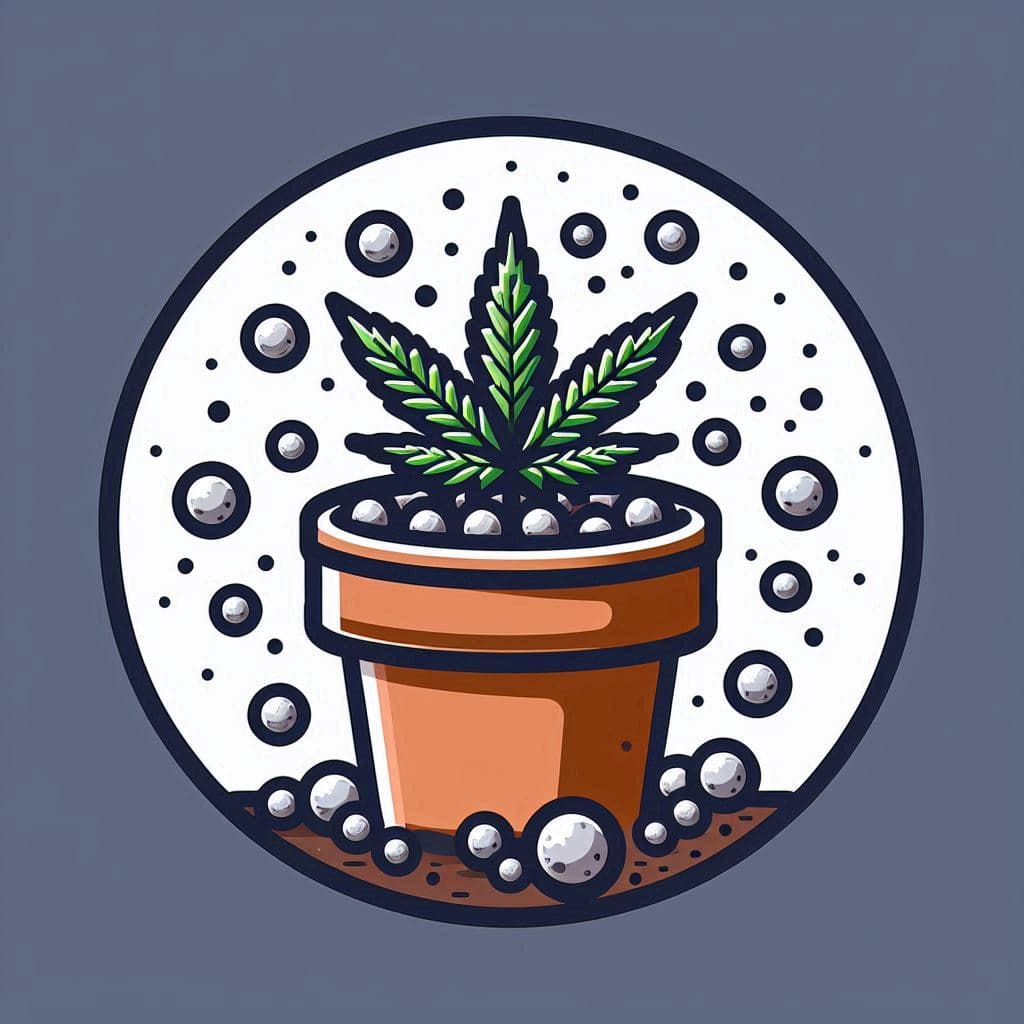 Grow Cannabis Seeds in New Mexico