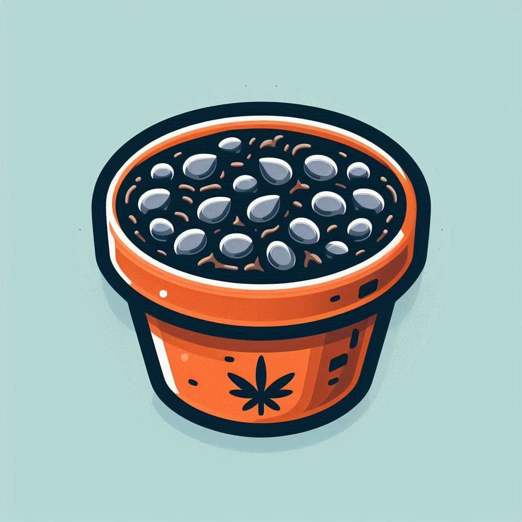 Cannabis Seeds in Kentucky