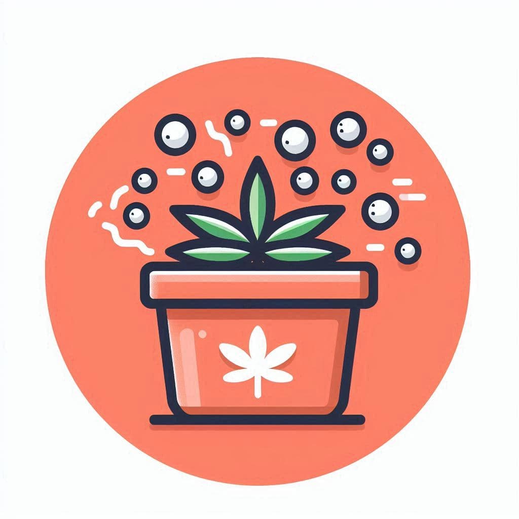 Buy Cannabis Seeds in Oregon